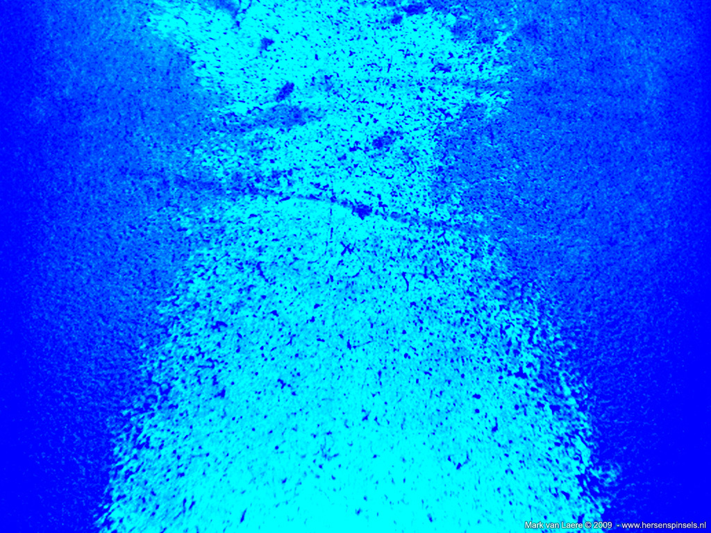 Wallpaper 'Neon 5' Close up of a blue neon tube light. It looks like water., Zug, Switzerland