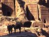 wallpaper: Donkeys at Petra