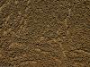 wallpaper: Sand