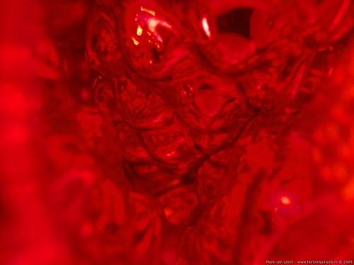 wallpaper: 'As red as it gets' - Real Spinsels