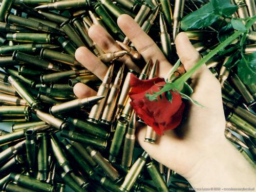 wallpaper: 'Some bullets, a hand and a rose' - Real Spinsels