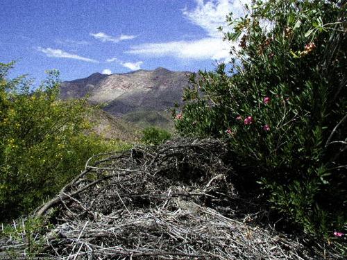 wallpaper: 'Cape Mountains 2' - South Africa