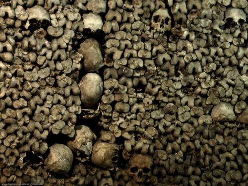 wallpaper: 'Skulls and Bones' - Paris Collection