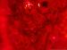 wallpaper: Zo rood als het wordt