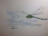 Drawing: Dragonfly 01