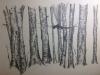 Tekening: 'Bomen'