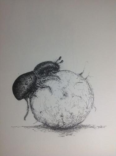 Drawing:  'Beetle'