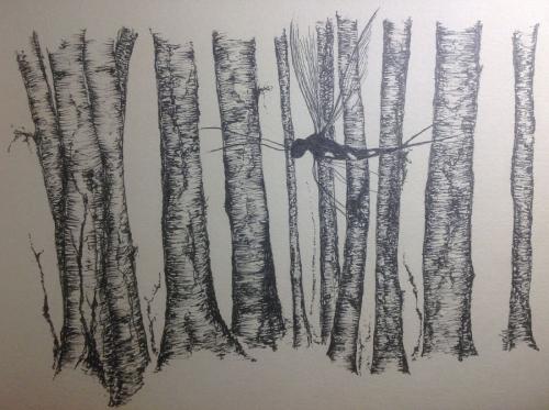 Tekening:   Bomen