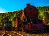 Photograph: Locomotives 204 and 922