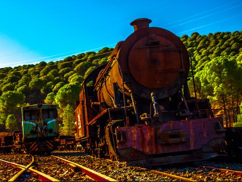 Photograph:  'Locomotives 204 and 922'