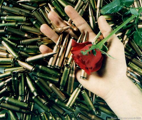 Foto:   Wat kogels, een hand en een roos